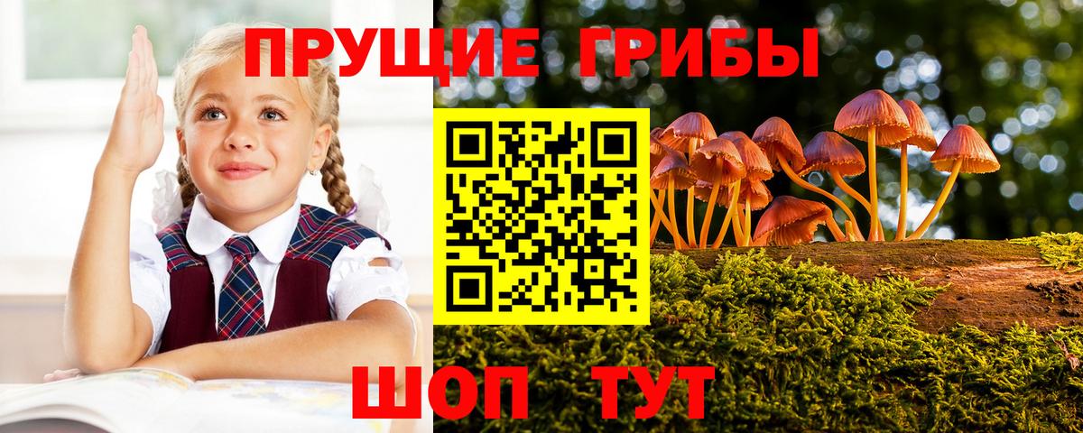Галлюциногенные грибы мицелий  Галлюциногенные грибы мухоморы  Гагарин  Вход с VPN 